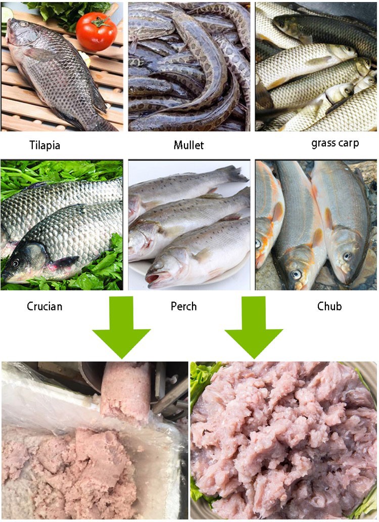 fish deboning machine 1 fish deboning machine 1